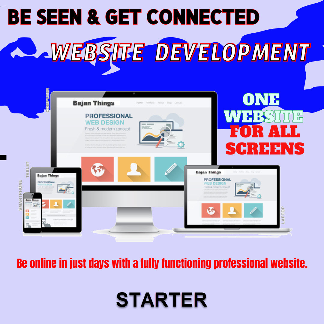 Starter Website picture